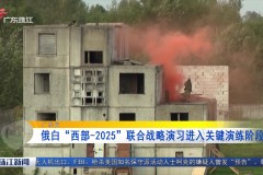 伏明霞跳水皇后闪婚豪门：年龄悬殊婚姻中的家庭事业平衡之路